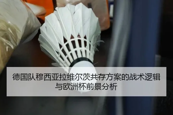 德国队穆西亚拉维尔茨共存方案的战术逻辑与欧洲杯前景分析（kaiyun）